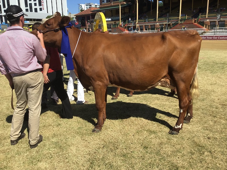 Ekka 19 Class 7