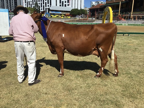 Ekka 19 Class 8