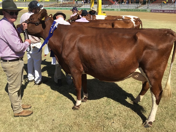 Ekka 19 Class 9