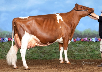 2020 IDW Intermediate Champion, Intermediate Udder