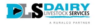 DLS