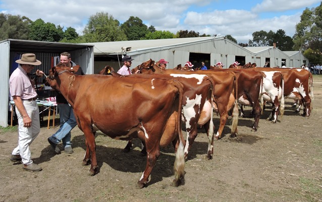 DSCN3478 for website best udder