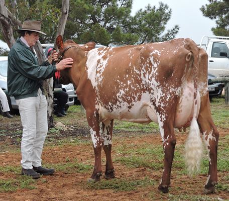 DSCN7099 Class 22 and Intermediate Champion for website