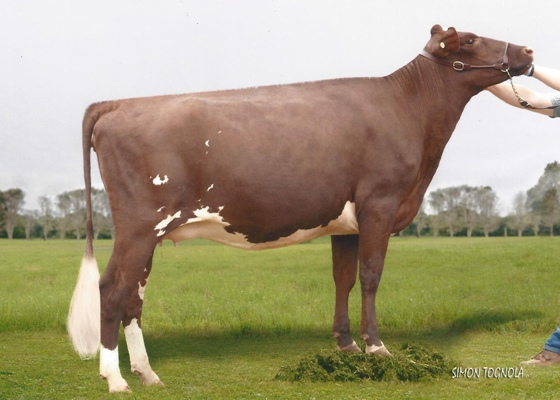 Eachemvale Suzie 9 lr