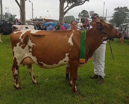 Far Sth Coast Res Champ