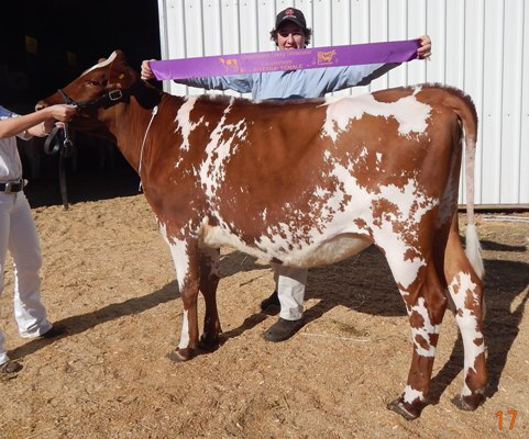 Gatton 2014 Juvenile Champ