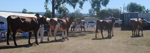 Gatton 19 Intermediate Champ final 4