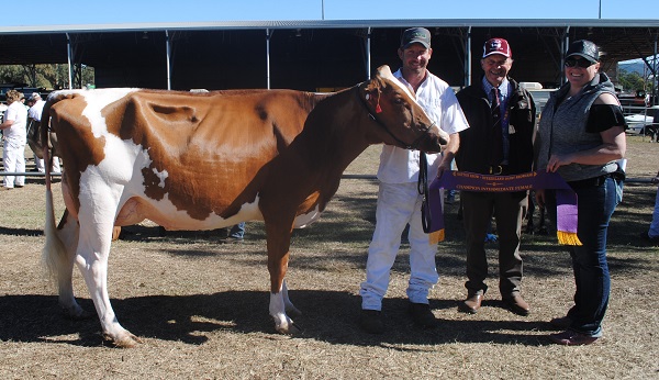 Gatton 19 Intermediate champion