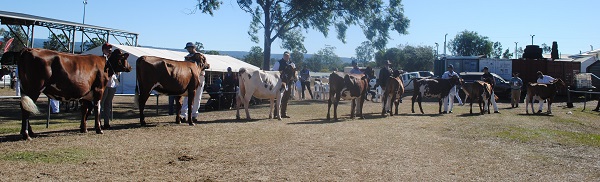 Gatton 19 Jnr Champ Class