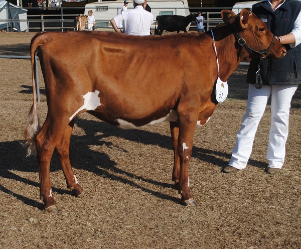 Gatton 18 Class 1