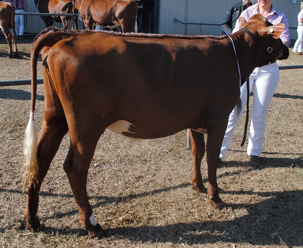 Gatton 18 Class 3