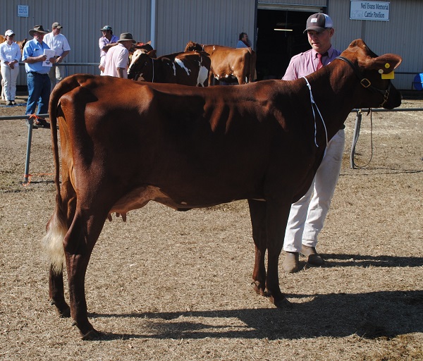 Gatton 18 Class 6