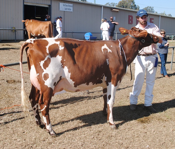 Gatton 18 Class 7