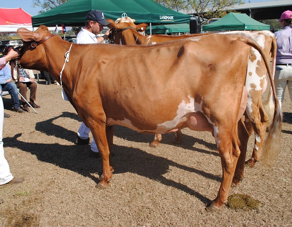 Gatton 18 Class 8