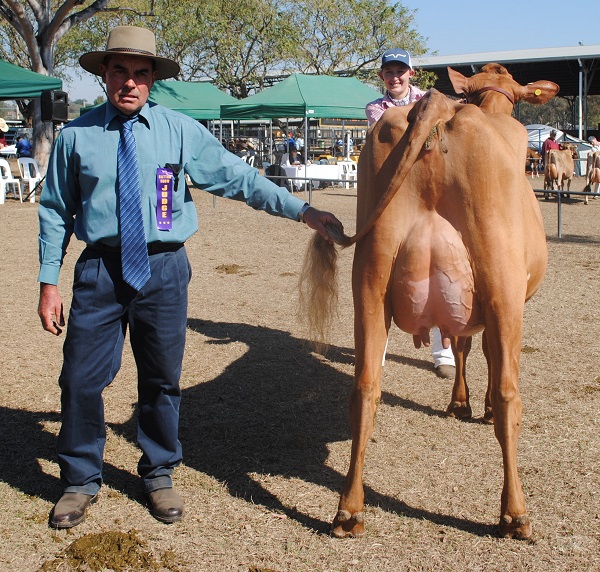 Gatton 18 Class 9 Best Udder