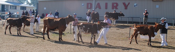 Gatton 18 Junior Champ Class