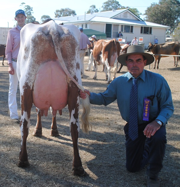 Gatton 18 Snr Best Udder 2