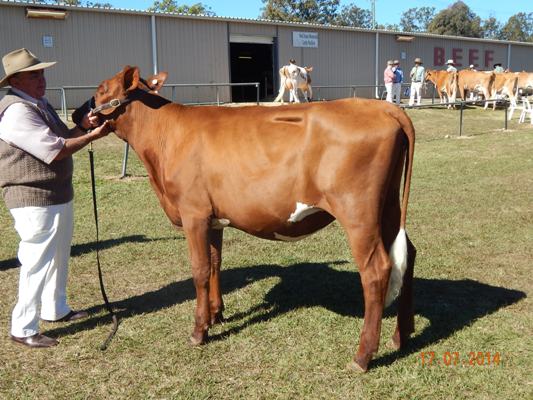 Gatton Show 2014 Res Juvenile lr