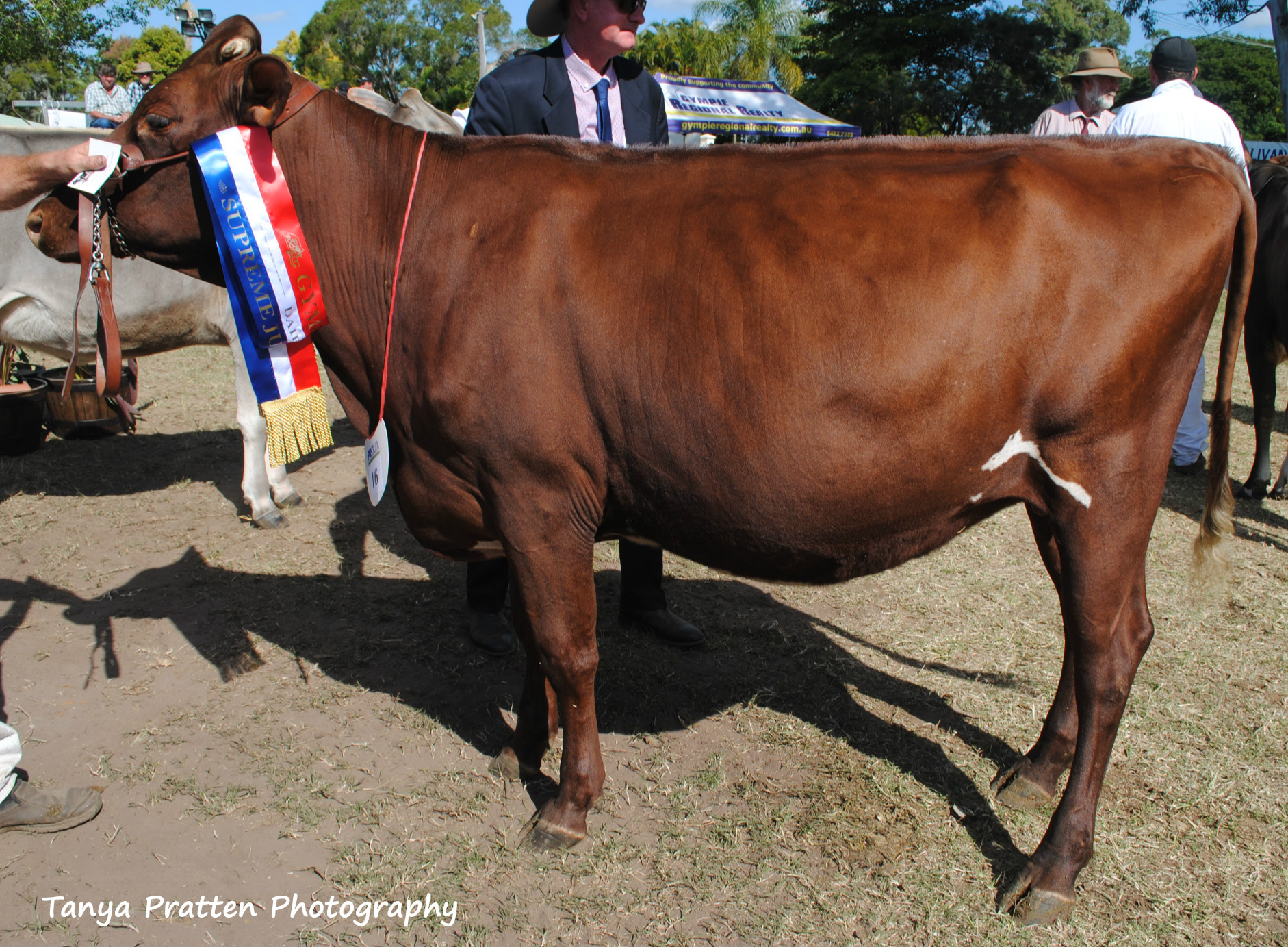 Gympie 2015 Supreme Juvenile