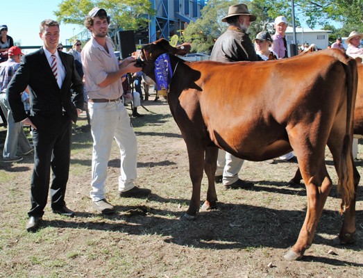 Gympie 2016 Champion Juvenile lr