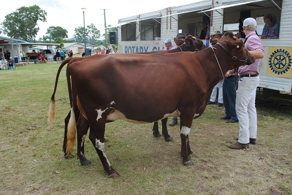 Gympie 2018 Class 10