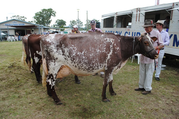 Gympie 2018 Class 11