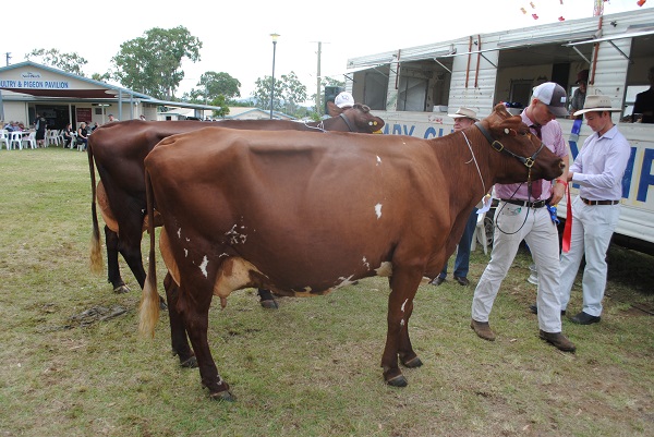 Gympie 2018 Class 12
