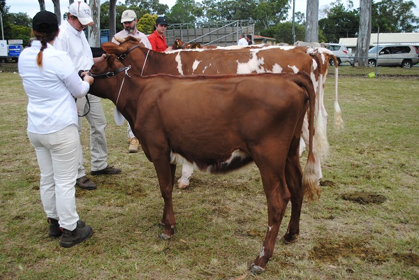 Gympie 2018 Class 1 Encourage