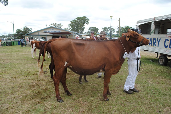 Gympie 2018 Class 4