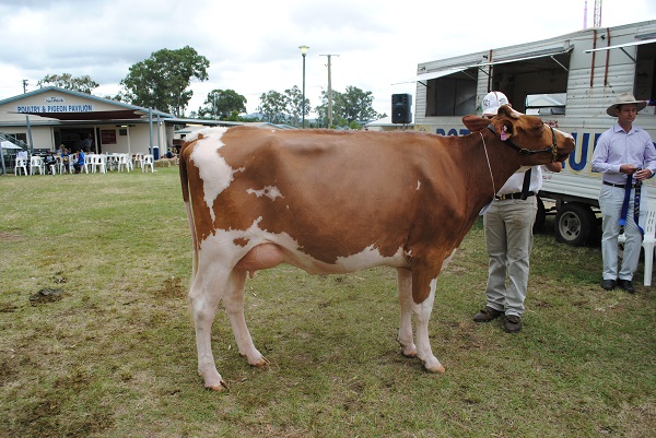 Gympie 2018 Class 6