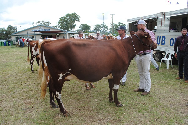 Gympie 2018 Class 7