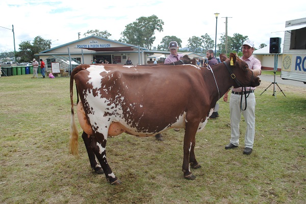 Gympie 2018 Class 9