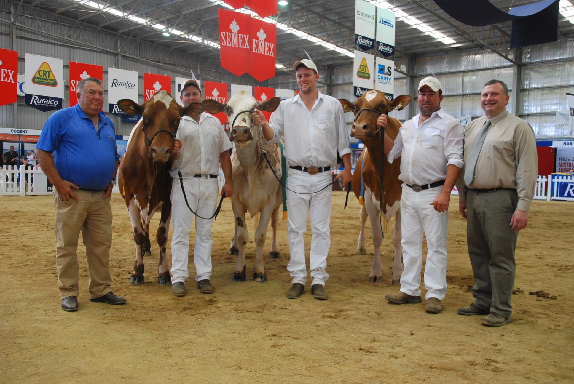 IDW 17 Champion Cow Presentation