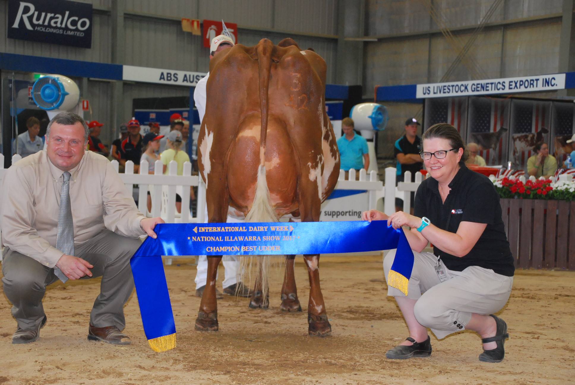 IDW 17 Champion Udder