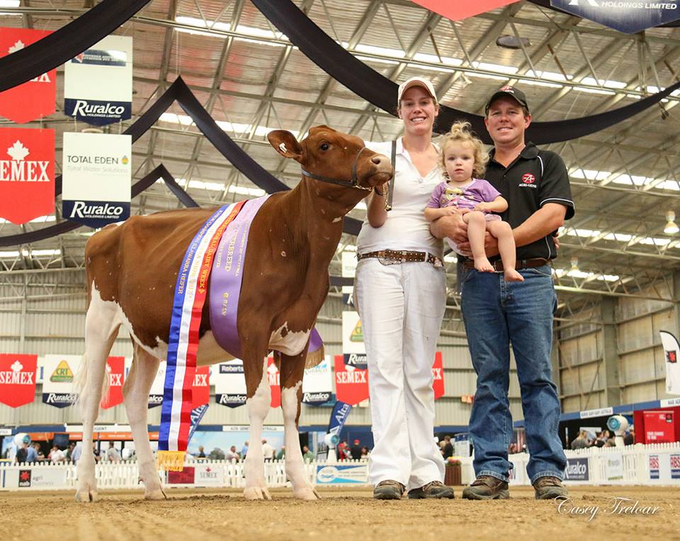 IDW 17 Res Supreme Junior Champ