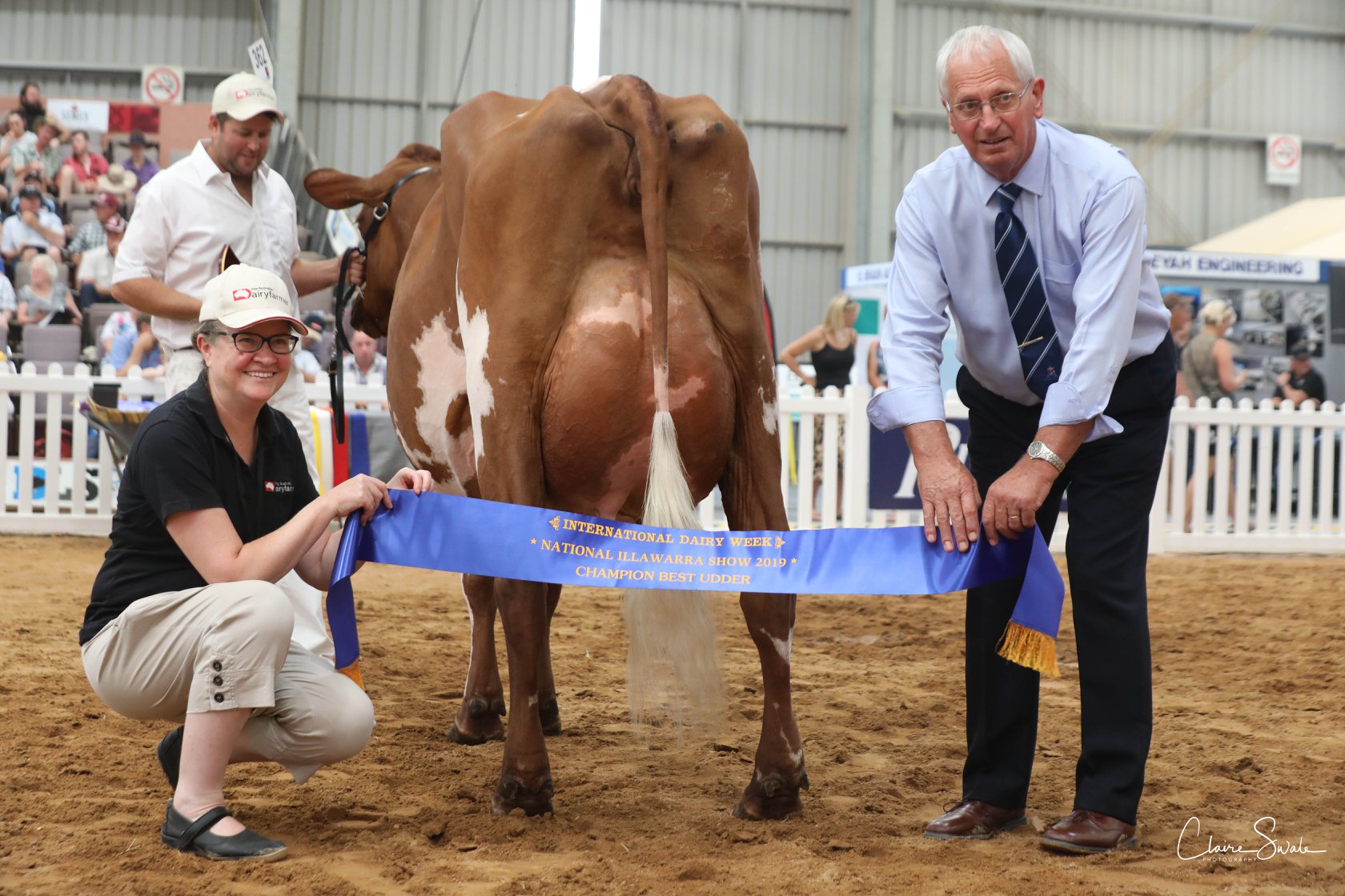 IDW 19 Best Udder