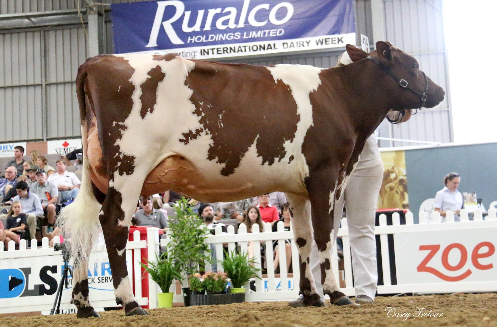 IDW 2015 cHAMP INTERMEDIATE