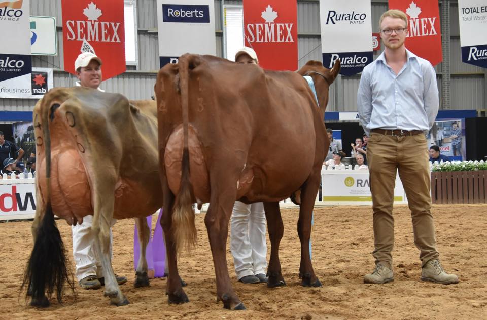 IDW 2018 Supreme Intermediate Champion