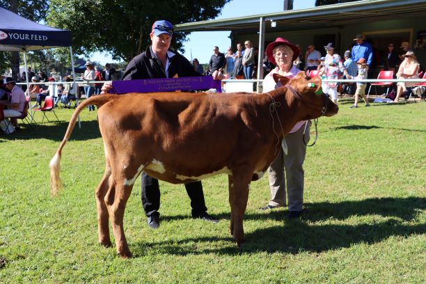 Champion Juvenile Heifer LR