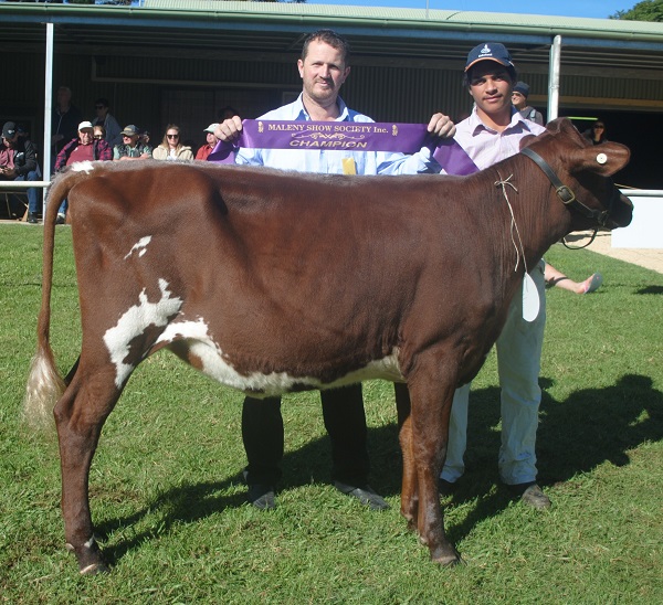 Maleny 19 Champ Juvenile