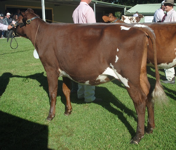 Maleny 19 Class 2
