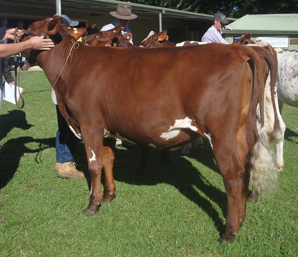 Maleny 19 Class 3