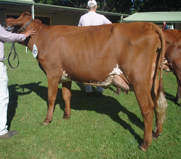 Maleny 19 Class 5