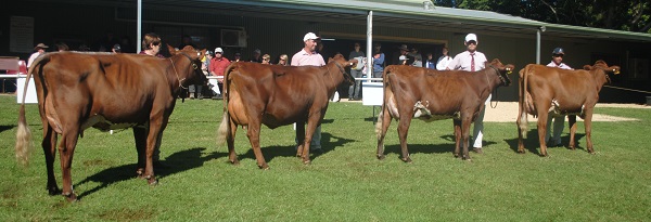 Maleny 19 Junior champ lineup