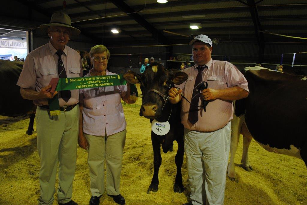 Maleny 14 - Res Cow pres