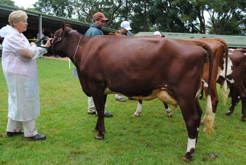 Maleny 2013 Jnr Butterfat