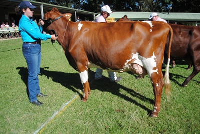 Maleny 2017 Champ Junior lr