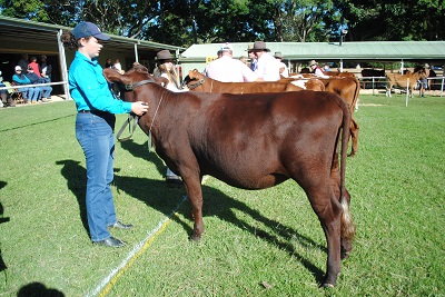 Maleny 2017 Champ Juvenile lr