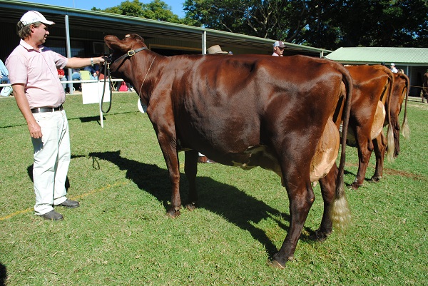 Maleny 2018 Class 13