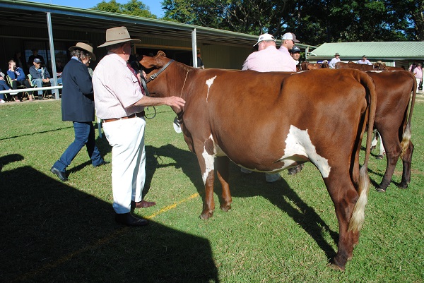 Maleny 2018 Class 2